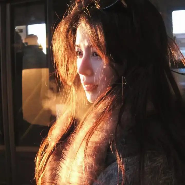 完美计划