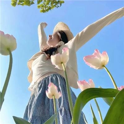蜘蛛王国